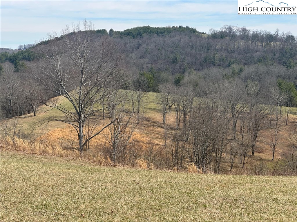 Lot 13 Turtle Rdg Road Sparta, NC 28675 - Photo 5 of 10 a view of a yard