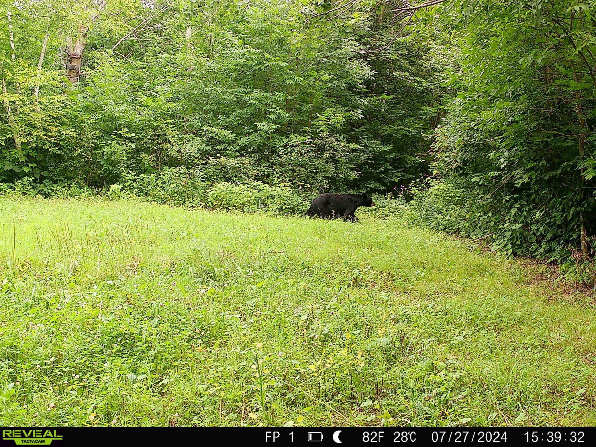 38953 Ada Beach Road Ponsford, MN 56575 - Photo 82 of 94