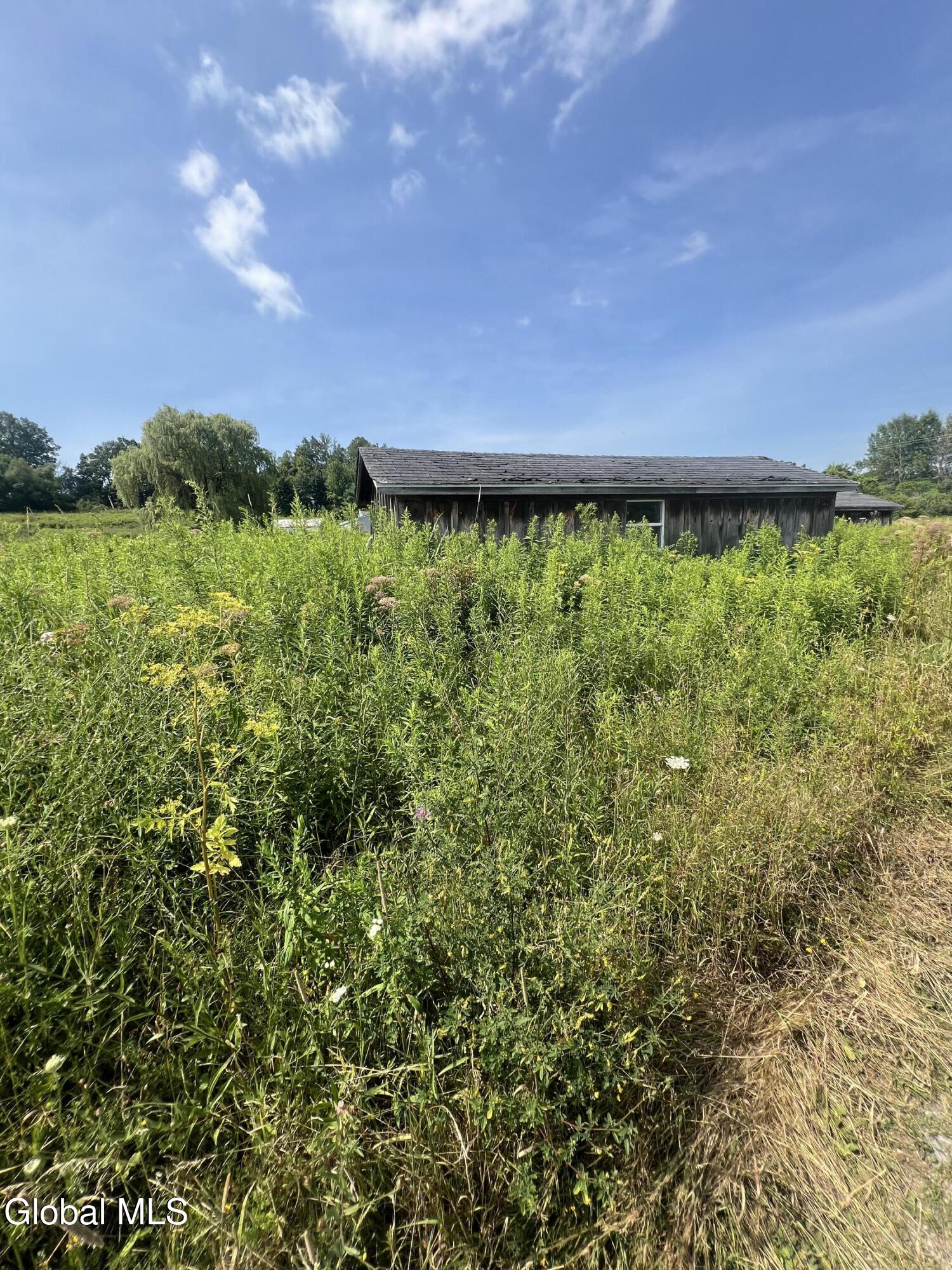 557 Old Sharon Road Canajoharie, NY 13317 - Photo 3 of 18 IMG_8305