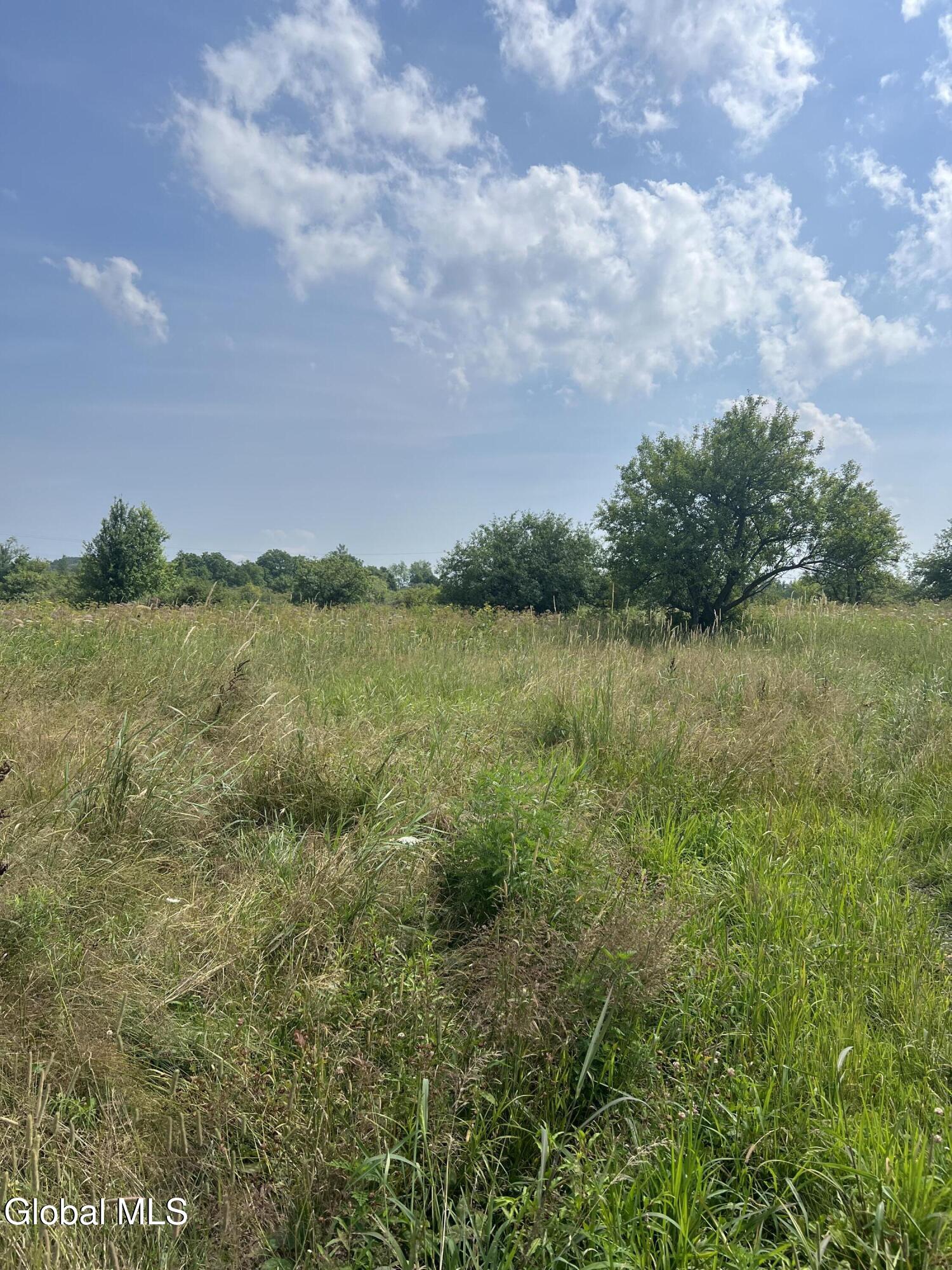 557 Old Sharon Road Canajoharie, NY 13317 - Photo 8 of 18 IMG_8298