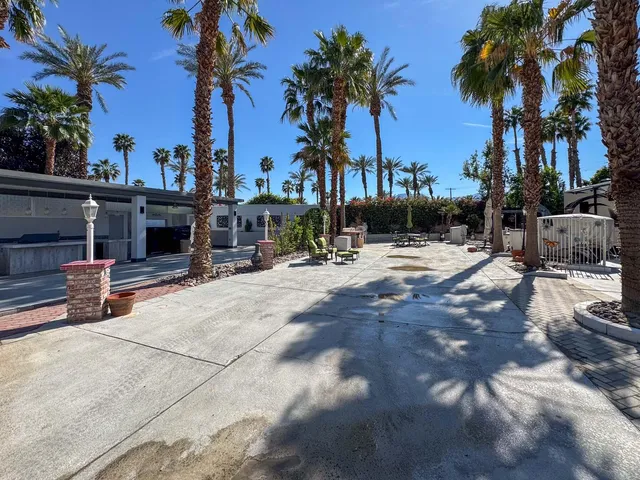 a view of outdoor space with palm trees