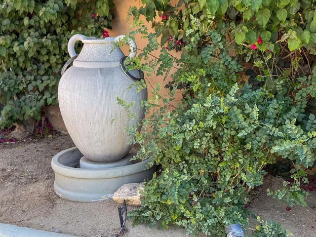 a view of a fountain in back of a yard