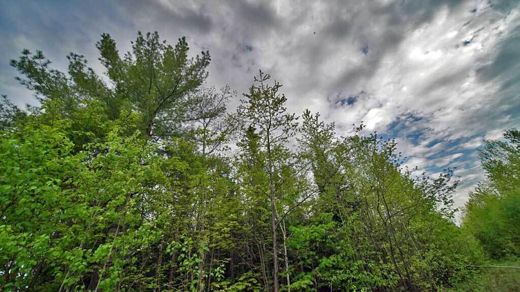 Lot 18 Monument Road Amity, ME 04471 - Photo 10 of 29 18-b-monument-rd-amity-6