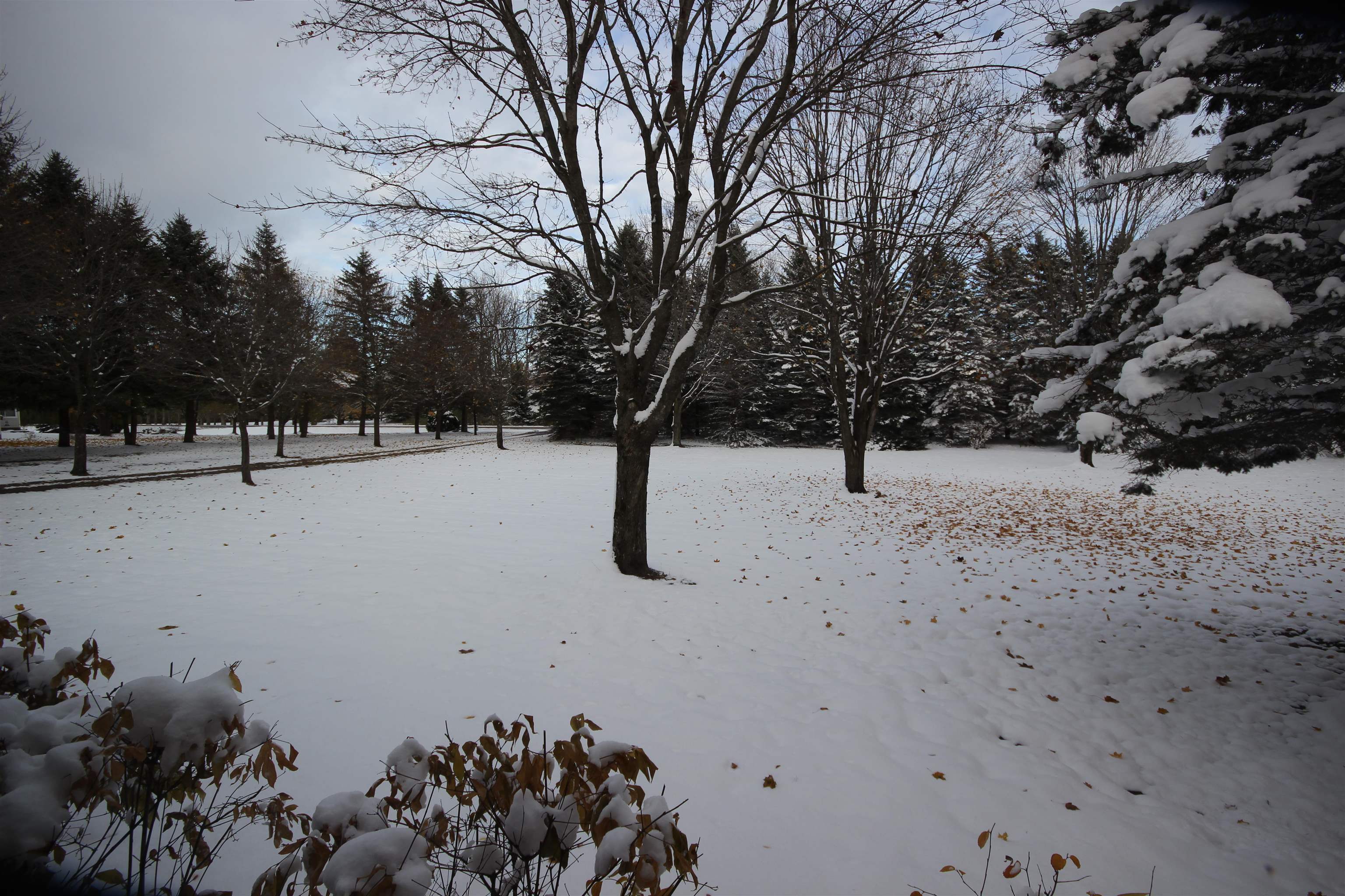 5645 Tilton Road Traverse City, MI 49684 - Photo 57 of 61 1940556-2bd88d9e-0a3d-4ab5-9224-03cce8bbb220.JPG