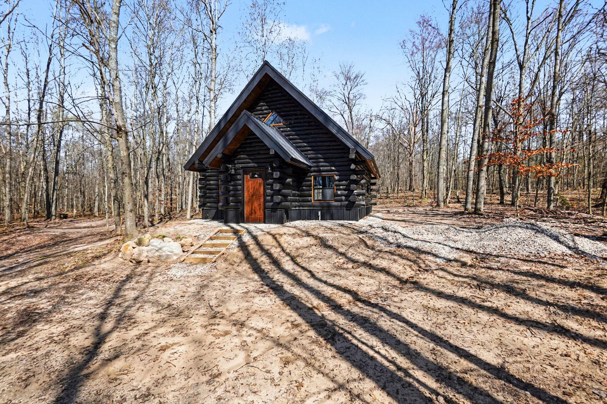 10338 Alpine Drive Reed City, MI 49677 - Photo 5 of 44 004_file_9783