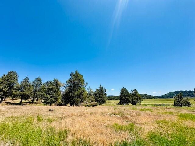 Murrelet Road Klamath Falls, OR 97601 - Photo 2 of 10 2