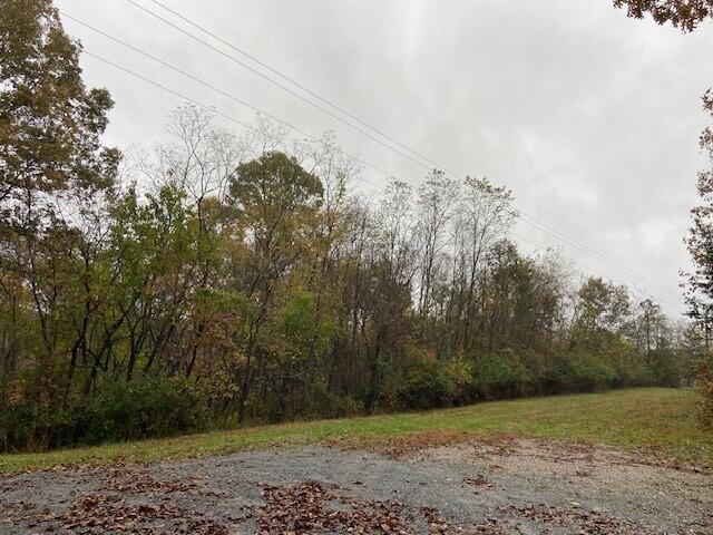 1121 Galbraith Road Brooksville, KY 41004 - Photo 4 of 7
