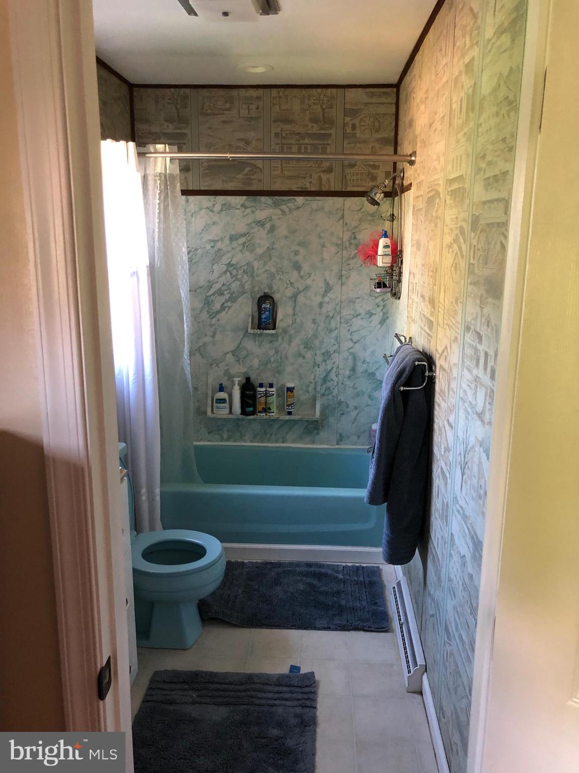 5390 Altenwald Road Waynesboro, PA 17268 - Photo 20 of 37 Master Bath