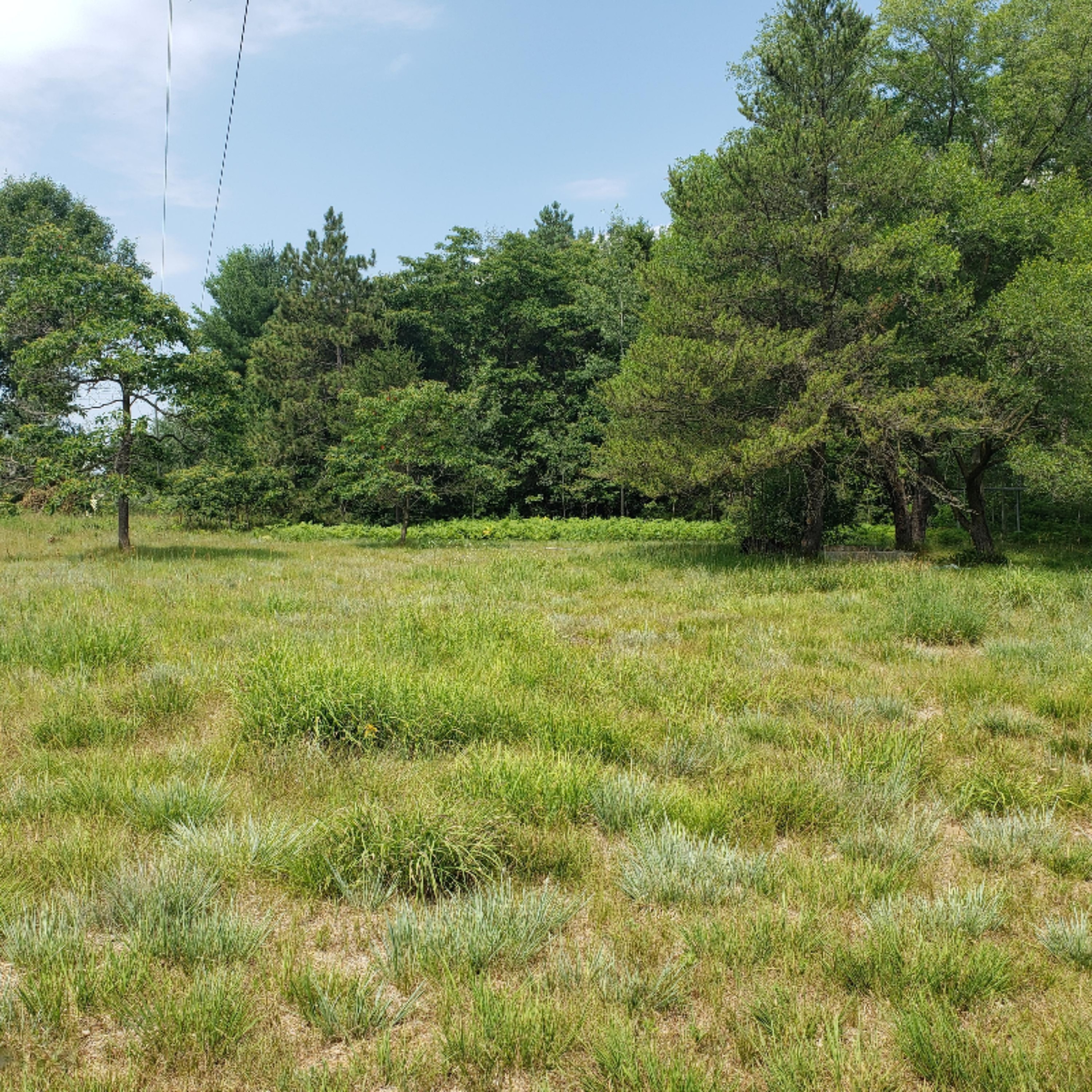 10066 East Bailey Road Ravenna, MI 49451 - Photo 2 of 7 bailey 7