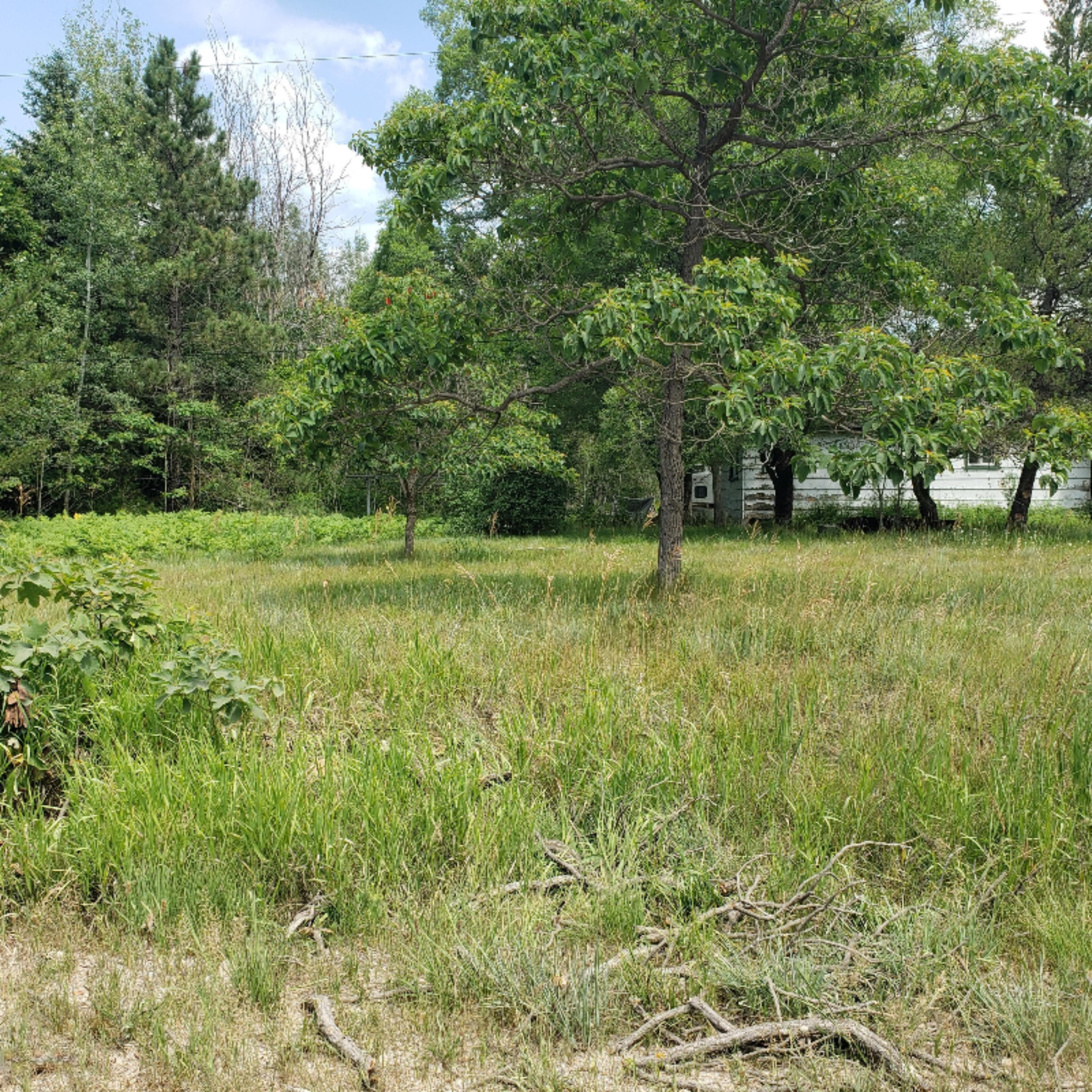 10066 East Bailey Road Ravenna, MI 49451 - Photo 4 of 7 bailey 4