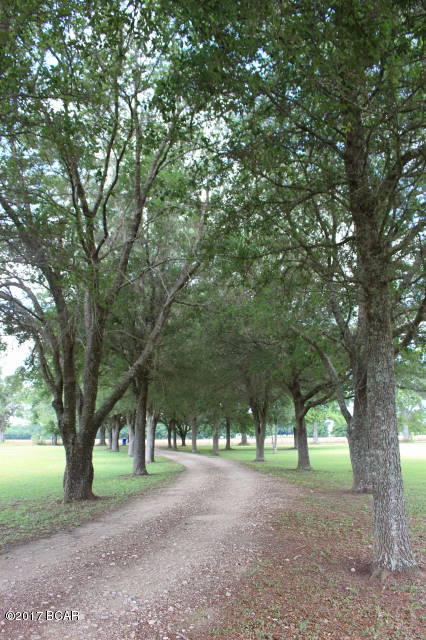26443 Northeast Bill Baggett Road Altha, FL 32421 - Photo 5 of 75 Gallery Image 5