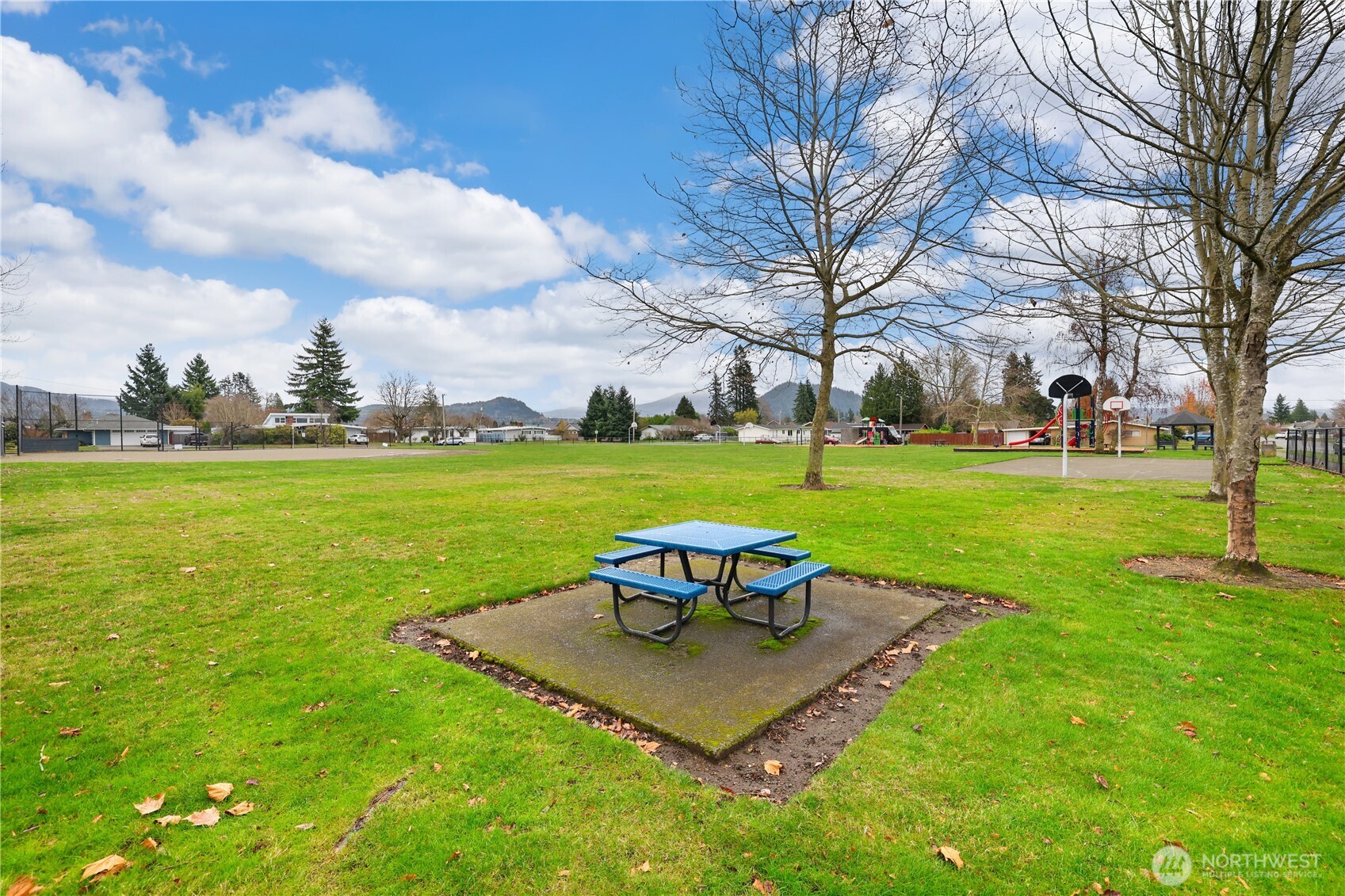 2947 Edel Avenue Enumclaw, WA 98022 - Photo 29 of 35 a view of a park with large trees