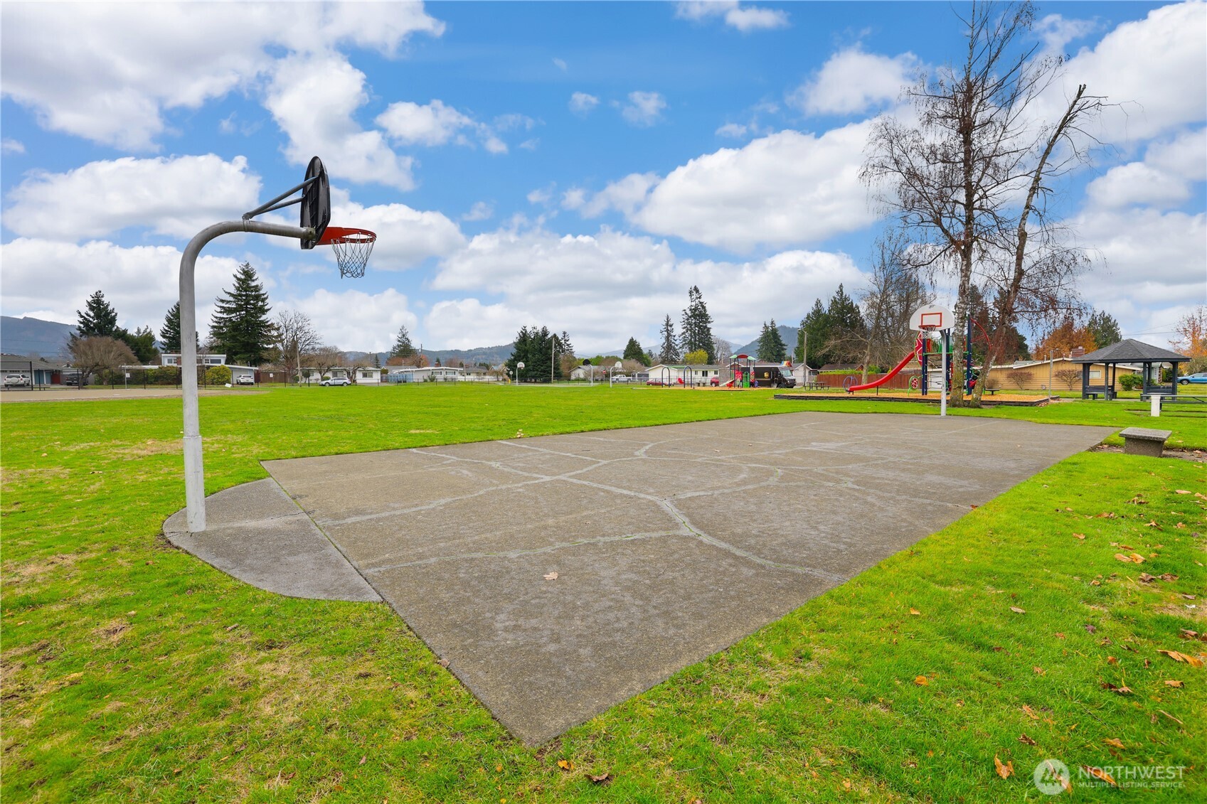 2947 Edel Avenue Enumclaw, WA 98022 - Photo 30 of 35 a green field with lots of tress in it