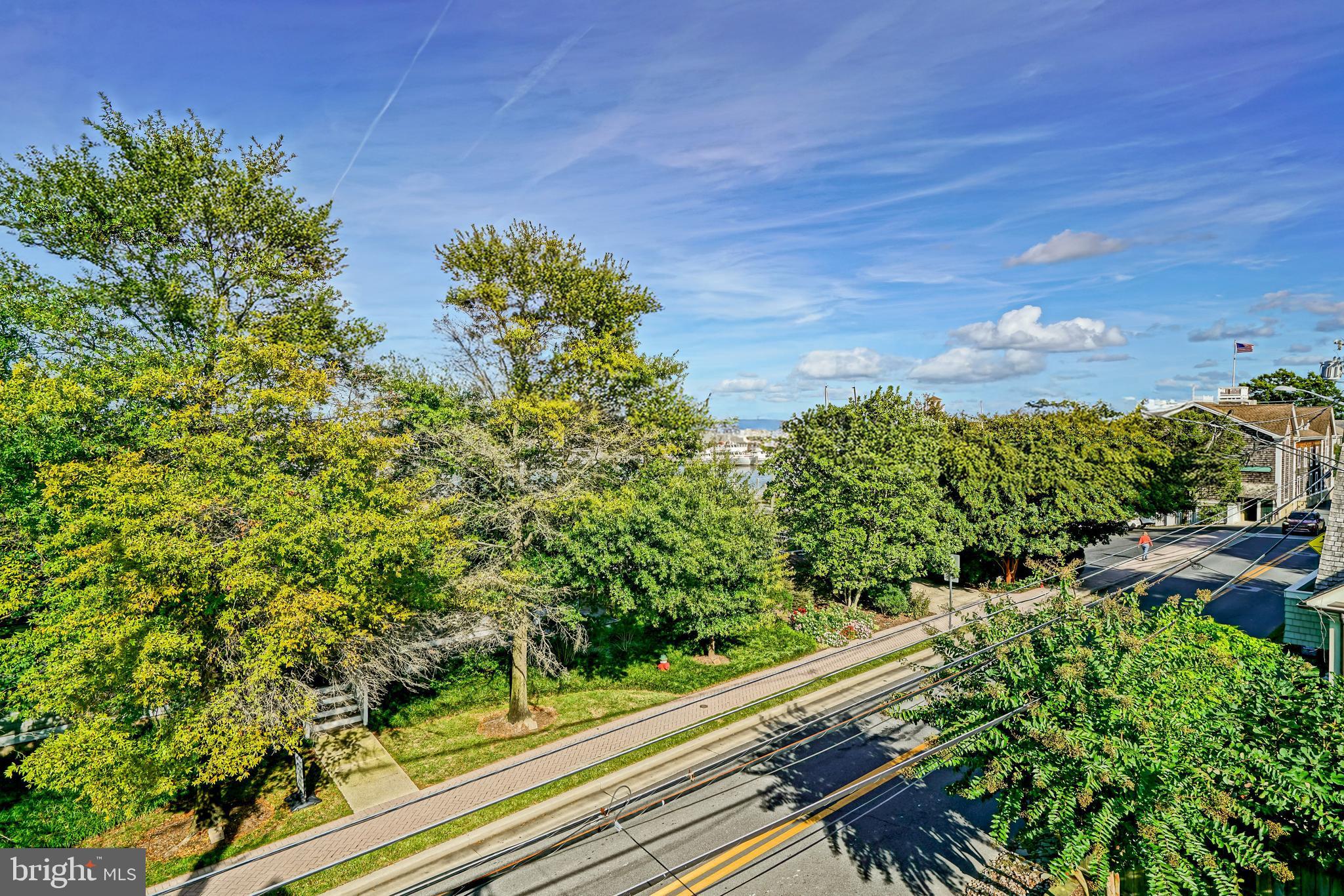 225 2nd Street Lewes, DE 19958 - Photo 125 of 139