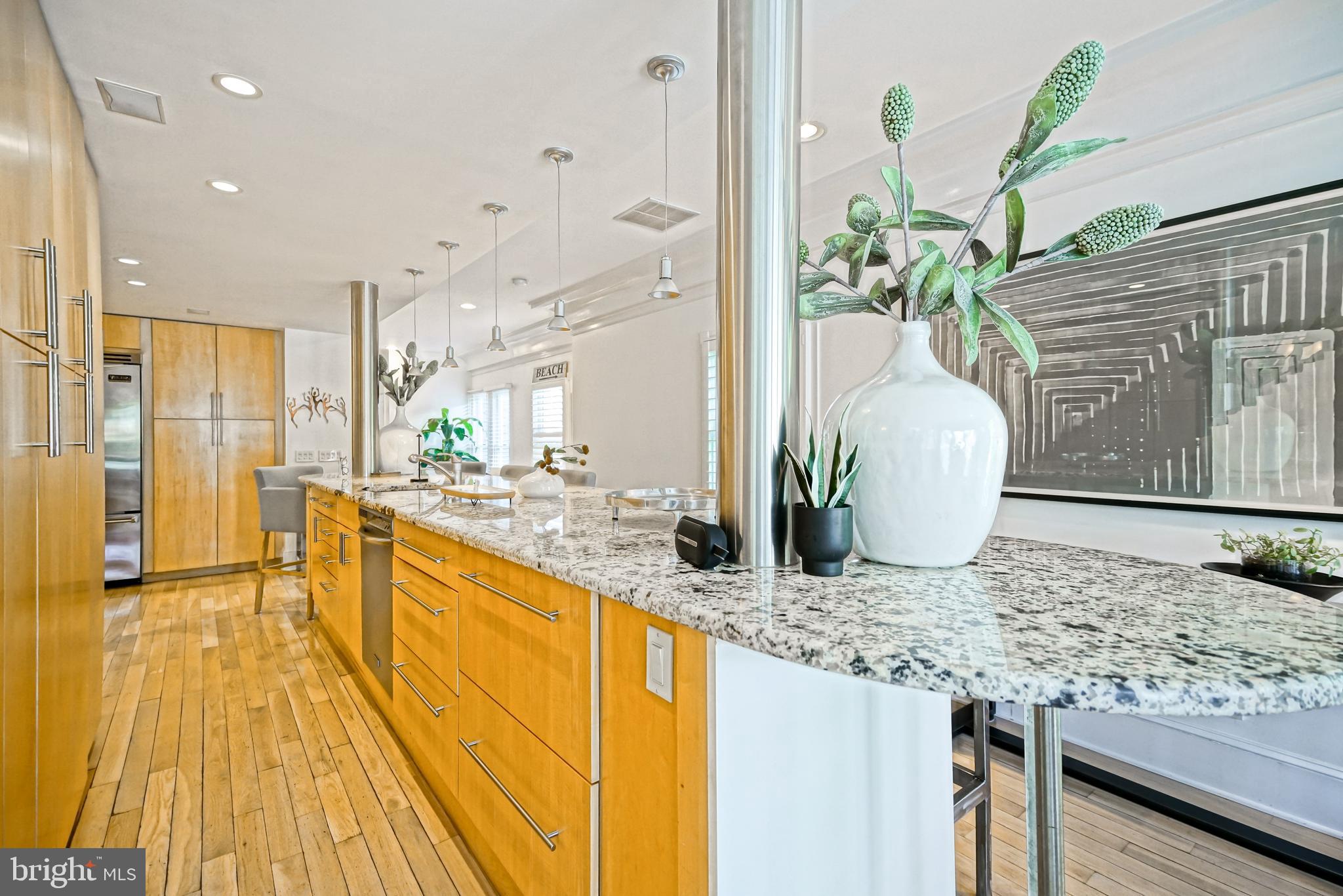 225 2nd Street Lewes, DE 19958 - Photo 37 of 139