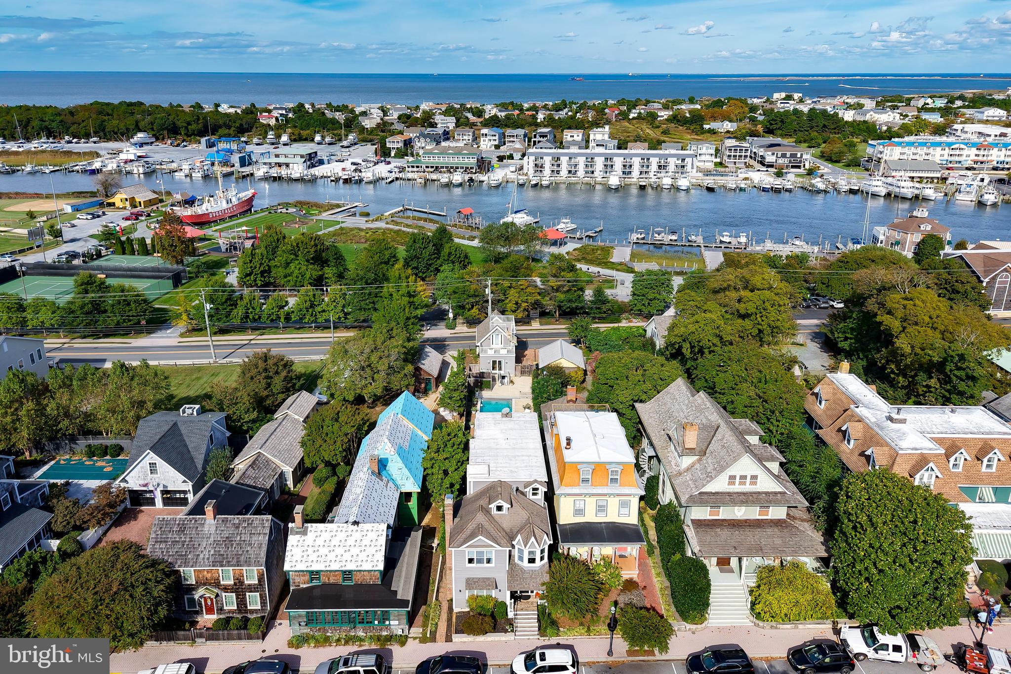 225 2nd Street Lewes, DE 19958 - Photo 4 of 139