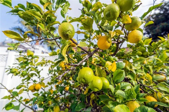 $5,000 | 10092 Dana Drive, Huntington Beach, CA 92646