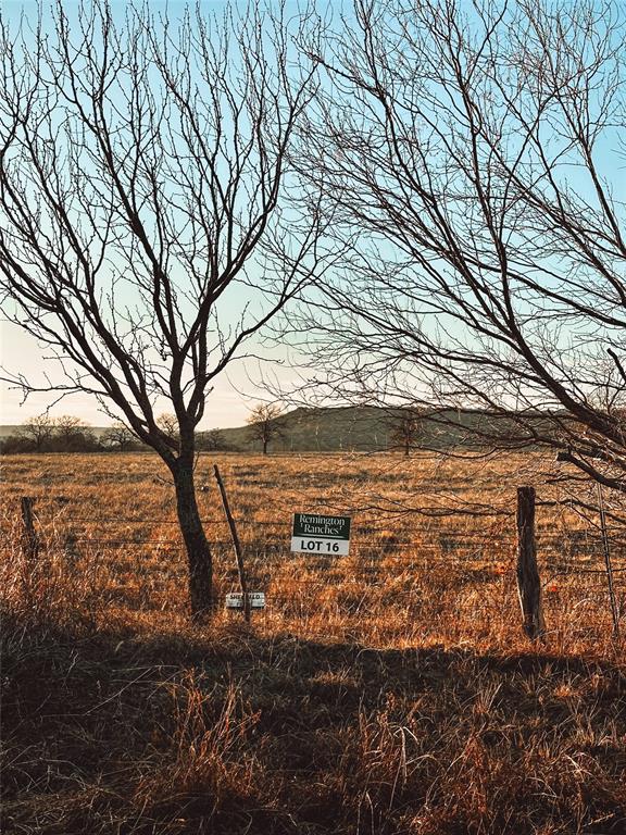 Lot 2 Dobbs Valley Road Mineral Wells, TX 76067 - Photo 5 of 8 a view of outdoor space with yard