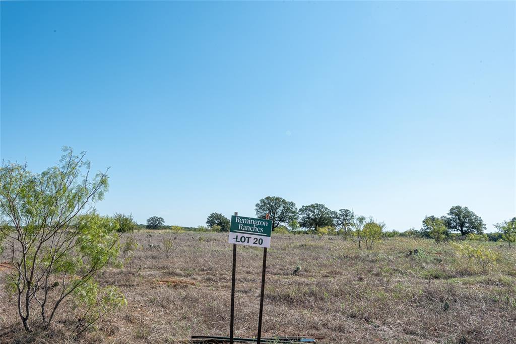 Lot 2 Dobbs Valley Road Mineral Wells, TX 76067 - Photo 6 of 8 a view of a dry yard with trees