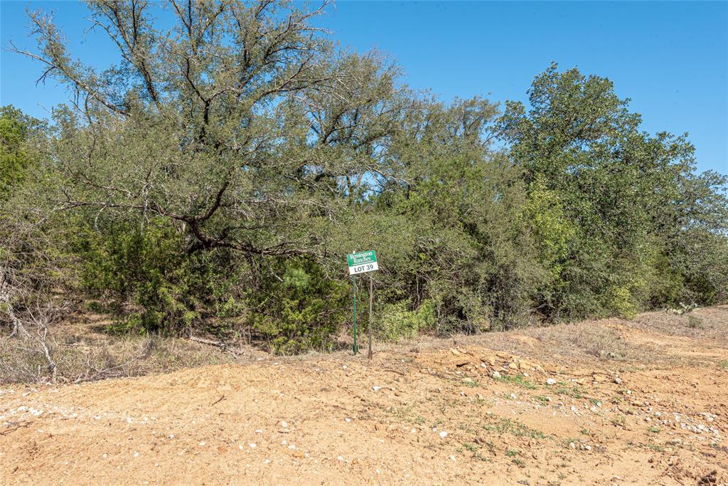Lot 2 Dobbs Valley Road Mineral Wells, TX 76067 - Photo 7 of 8 a view of a yard covered in snow