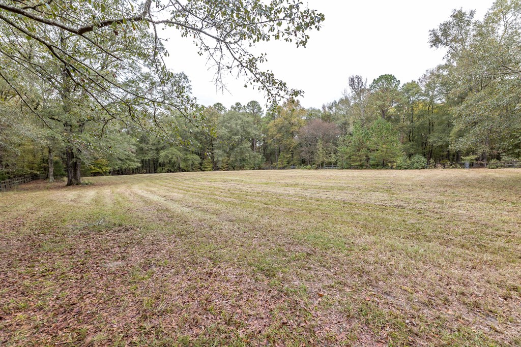 7901 Shallowford Road Upatoi, GA 31829 - Photo 57 of 89 Gallery Image 57