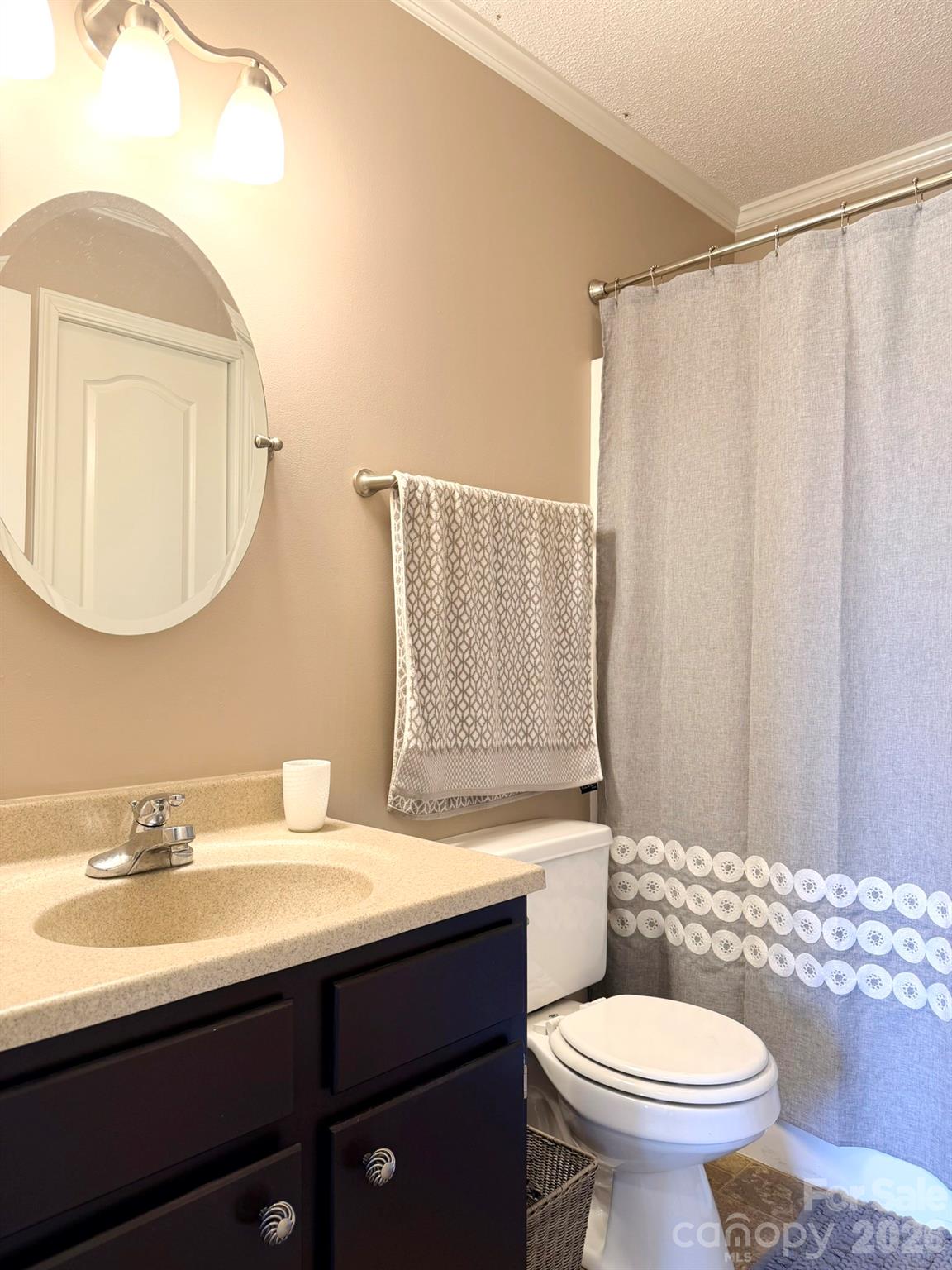 5876 St Peters Church Road Conover, NC 28613 - Photo 19 of 25 a bathroom with a sink toilet and mirror