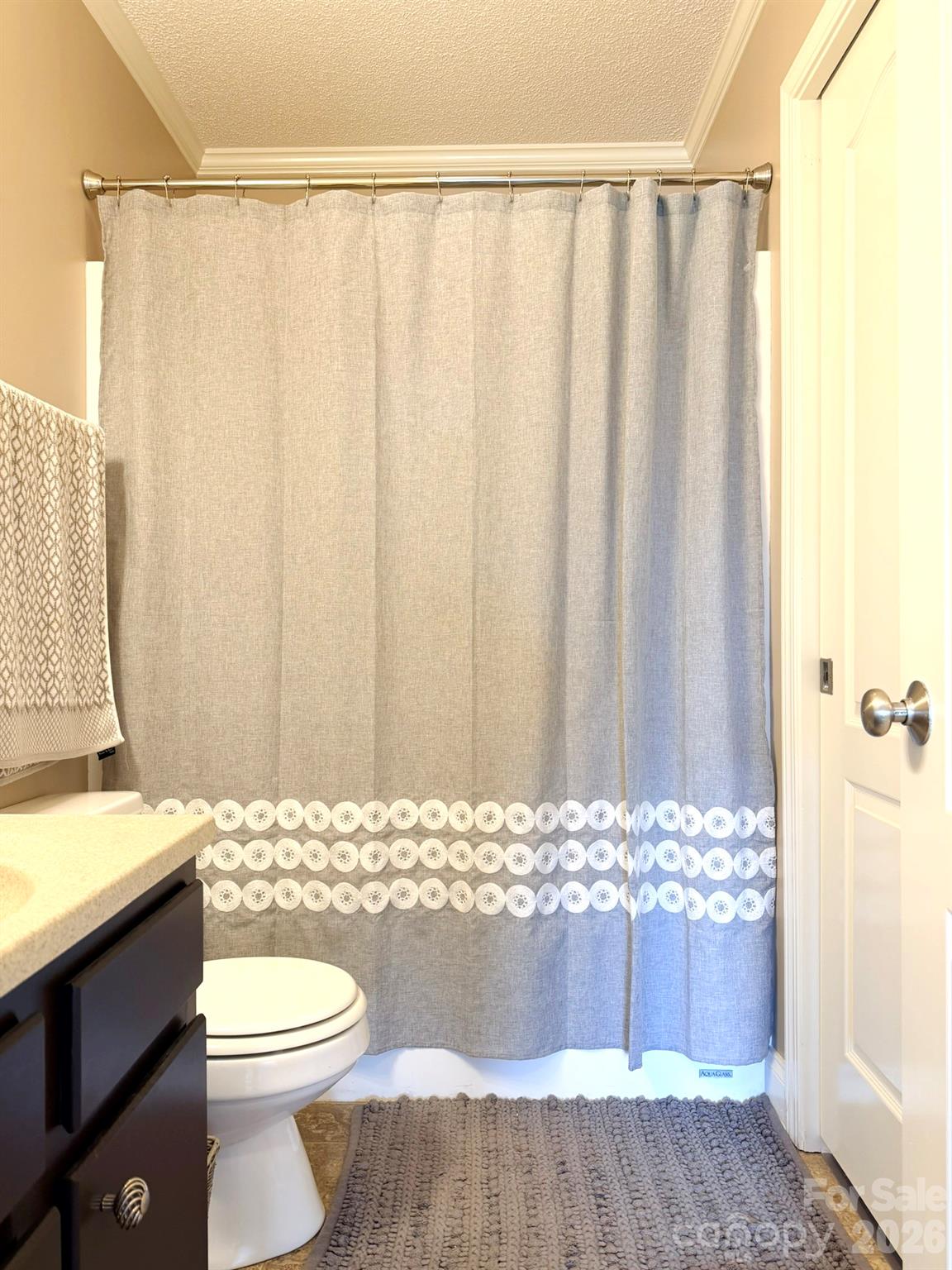 5876 St Peters Church Road Conover, NC 28613 - Photo 20 of 25 a bathroom with a toilet and a shower curtain