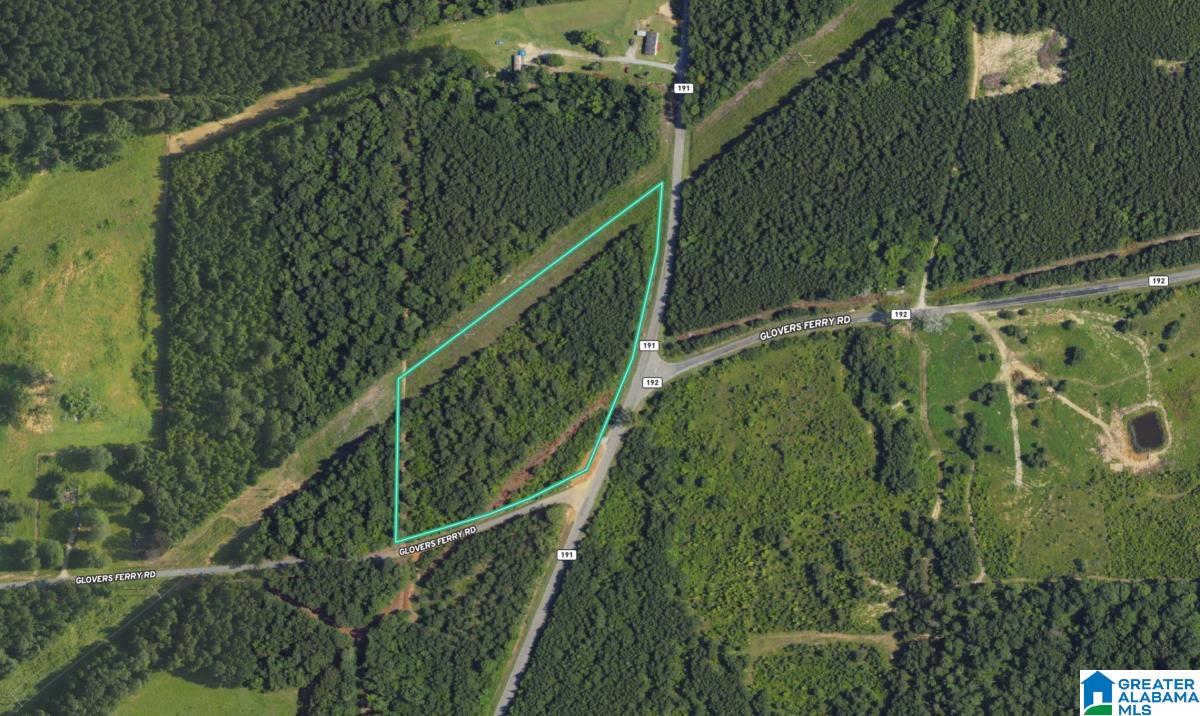 0 Glovers Ferry Road Alpine, AL 35014 - Photo 10 of 12