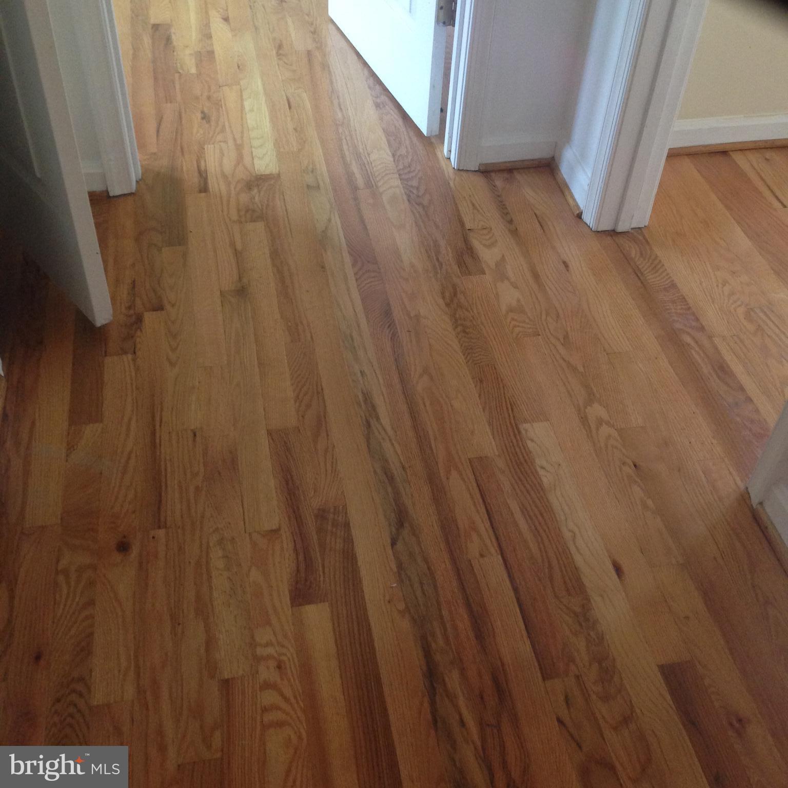 208 Brunswick Road Stephens City, VA 22655 - Photo 14 of 30 Hardwood upper hallway