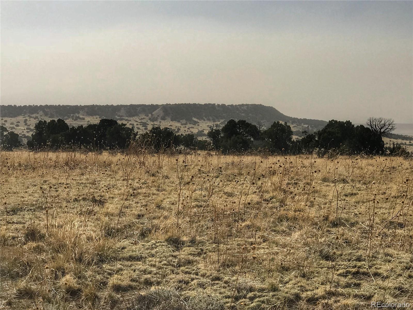 Lot 51 Turkey Ridge Ranch Walsenburg, CO 81089 - Photo 3 of 7 a view of lake