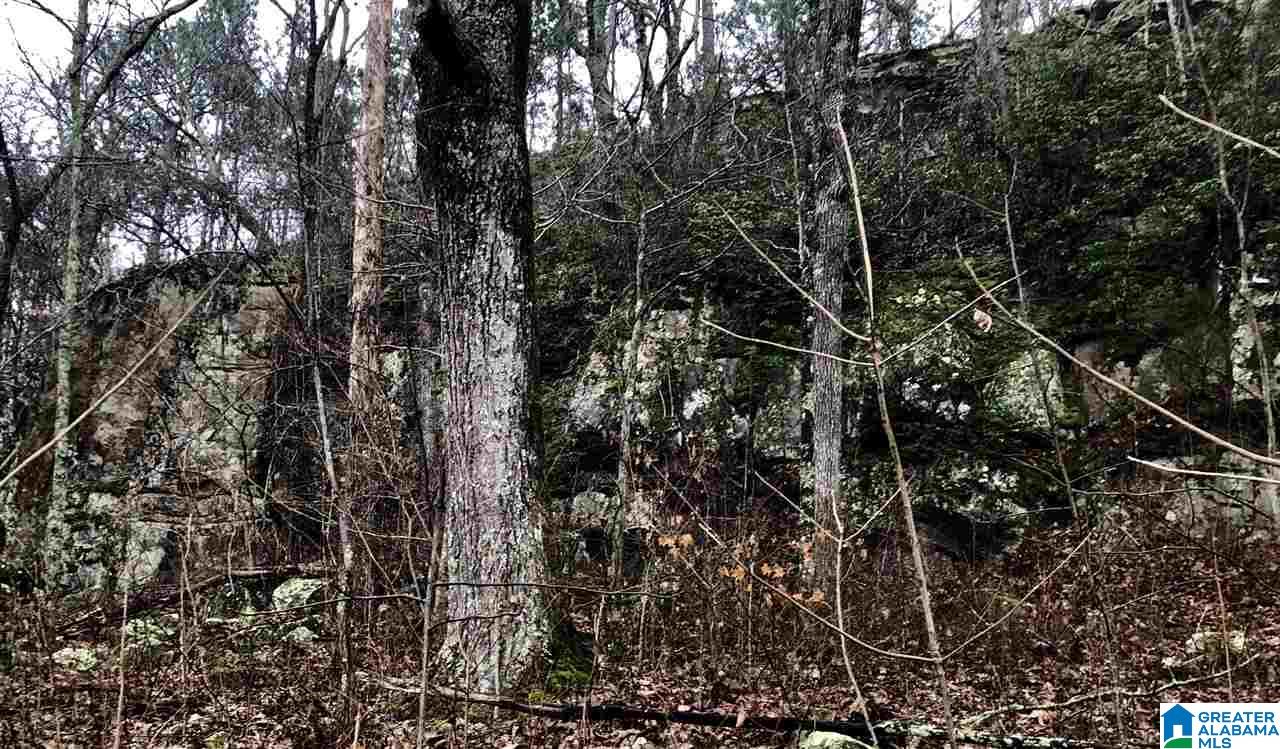 2660 Waldrop Road Ashville, AL 35953 - Photo 47 of 48