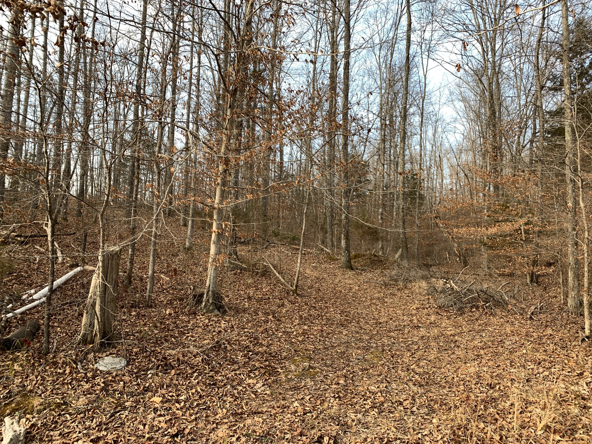 1323 Tanner Hollow Road Centerville, TN 37033 - Photo 29 of 32 Gallery Image 29