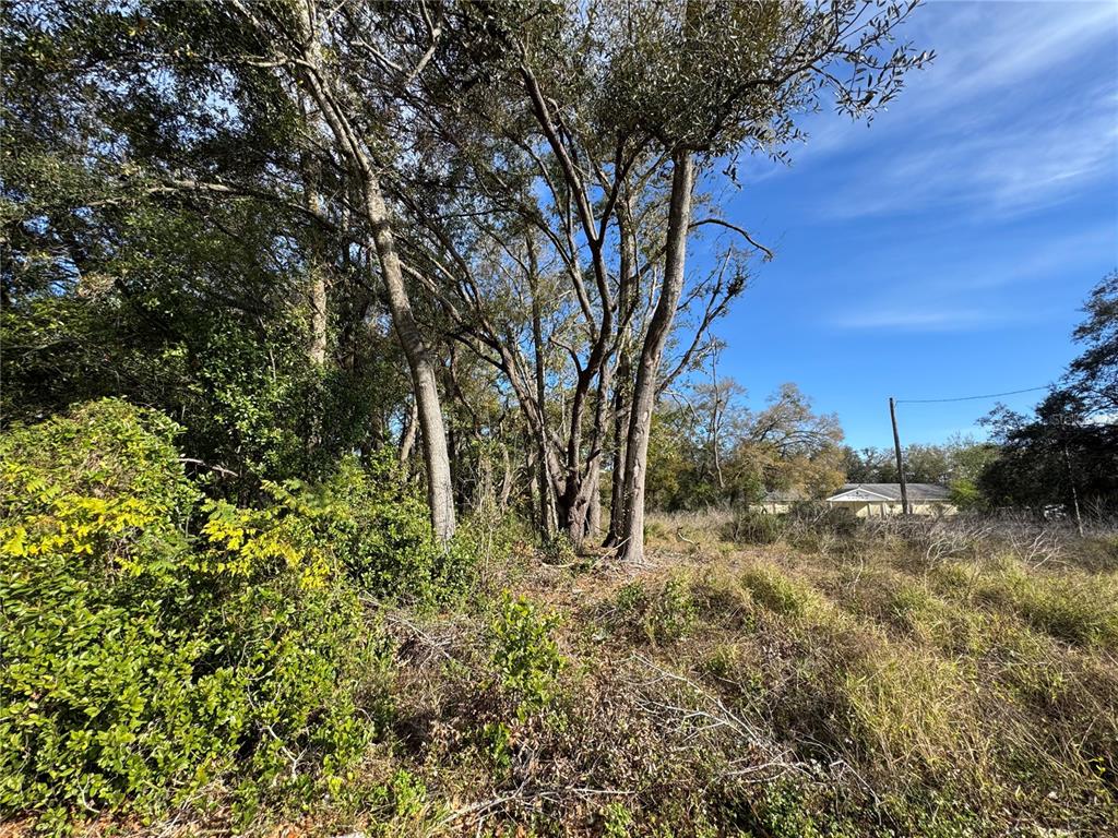 4939 Clarcona Ocoee Road Orlando, FL 32810 - Photo 12 of 14