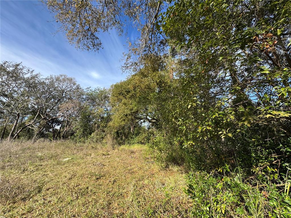 4939 Clarcona Ocoee Road Orlando, FL 32810 - Photo 2 of 14