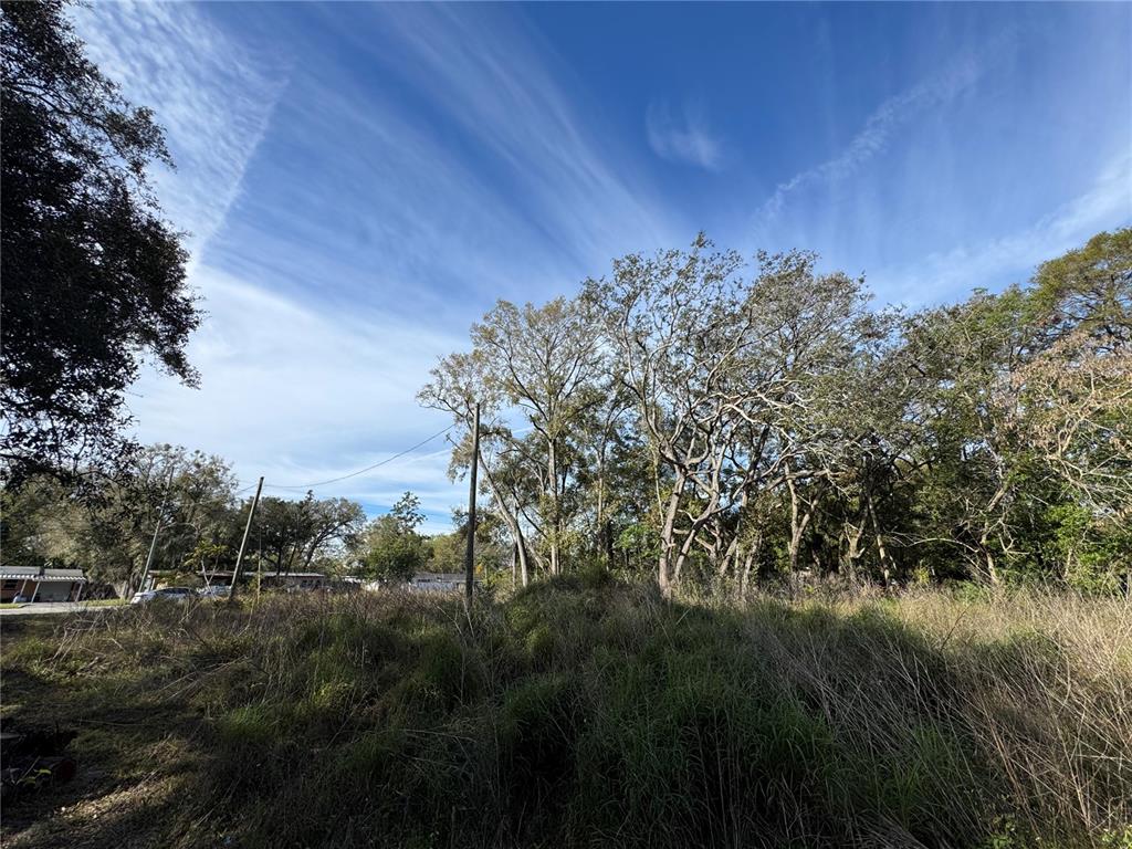 4939 Clarcona Ocoee Road Orlando, FL 32810 - Photo 5 of 14