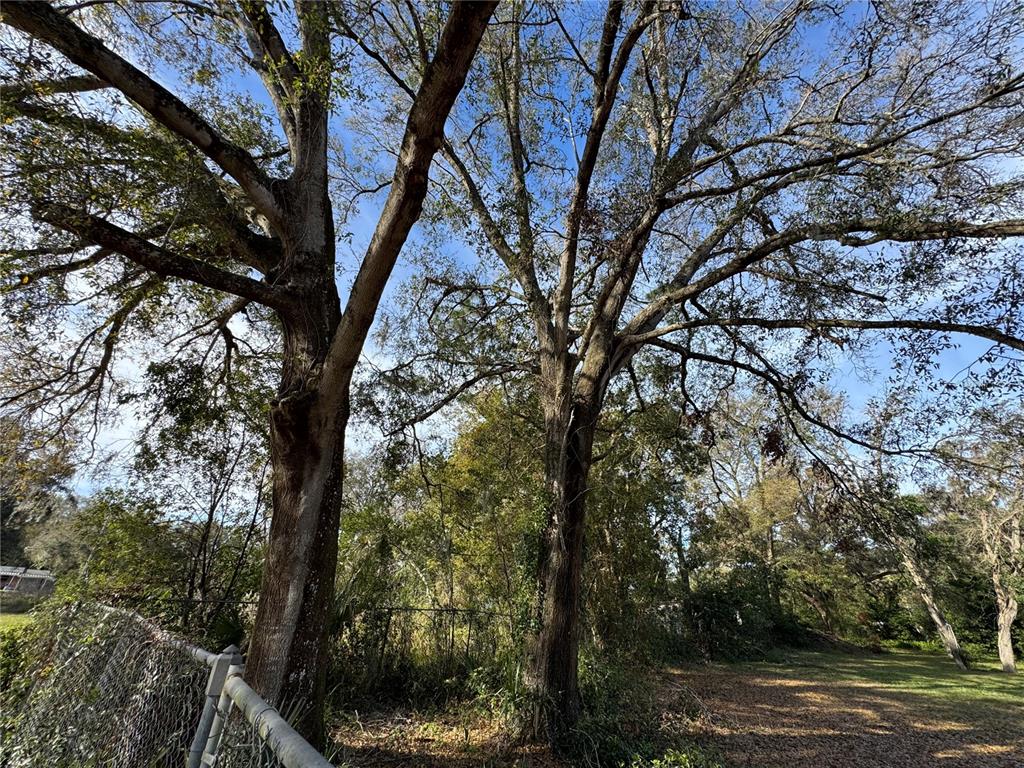 4939 Clarcona Ocoee Road Orlando, FL 32810 - Photo 6 of 14