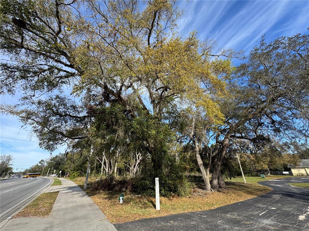 4939 Clarcona Ocoee Road Orlando, FL 32810 - Photo 7 of 14