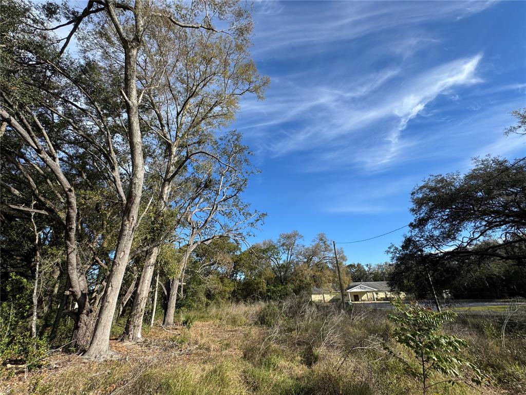 4939 Clarcona Ocoee Road Orlando, FL 32810 - Photo 10 of 14