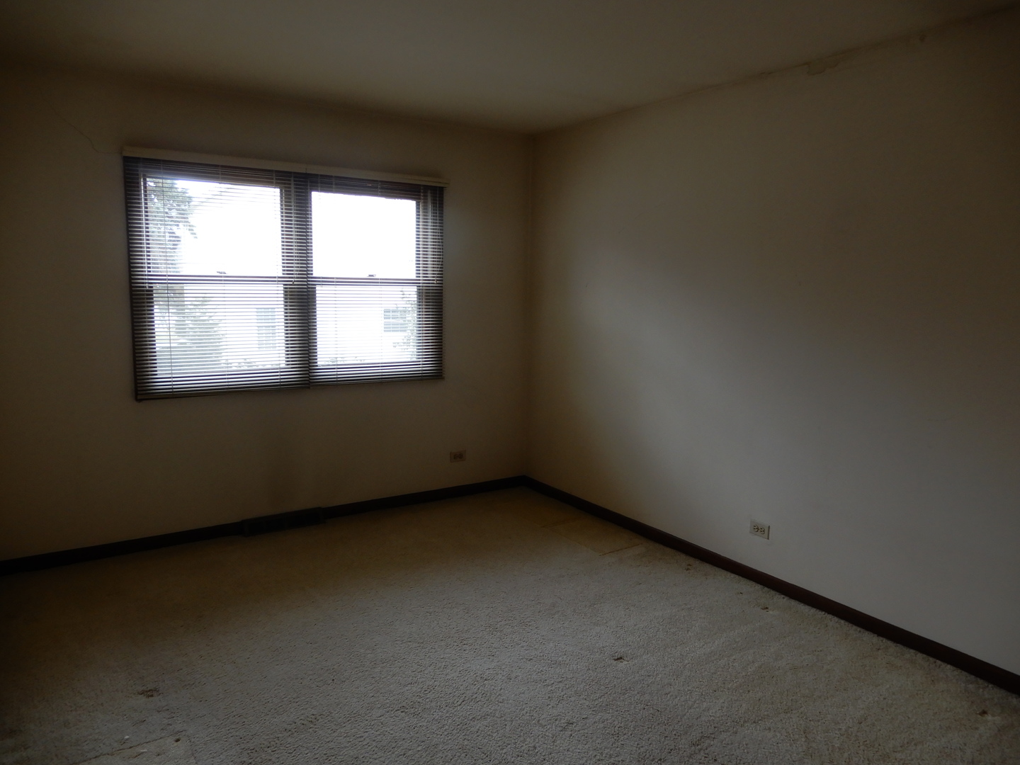 2445 Sun Valley Road Lisle, IL 60532 - Photo 17 of 21