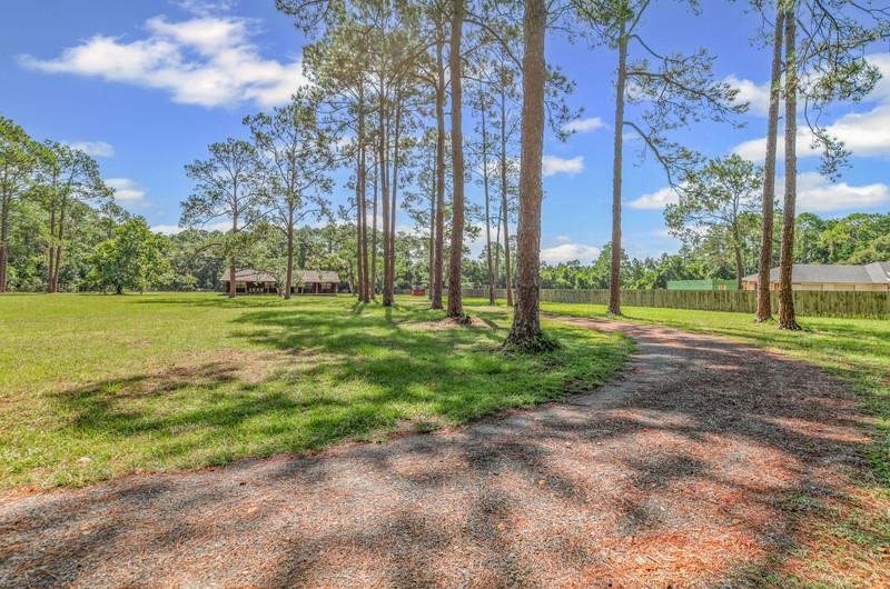 2650 Cabbage Hammock Road St. Augustine, FL 32092 - Photo 3 of 91 a view of a park with large trees