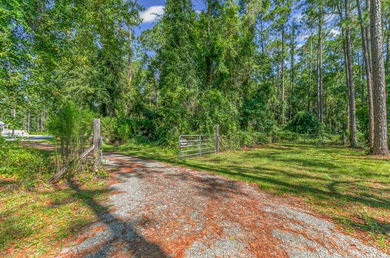 2650 Cabbage Hammock Road St. Augustine, FL 32092 - Photo 4 of 91 View of street featuring a forest view