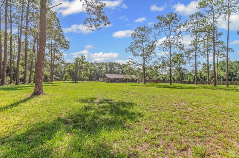 2650 Cabbage Hammock Road St. Augustine, FL 32092 - Photo 6 of 91 View of grassy yard