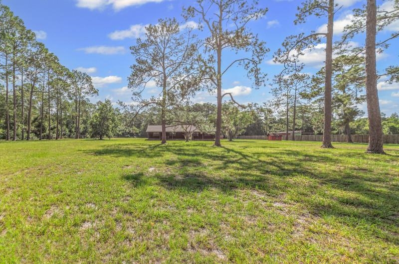 2650 Cabbage Hammock Road St. Augustine, FL 32092 - Photo 7 of 91 View of yard