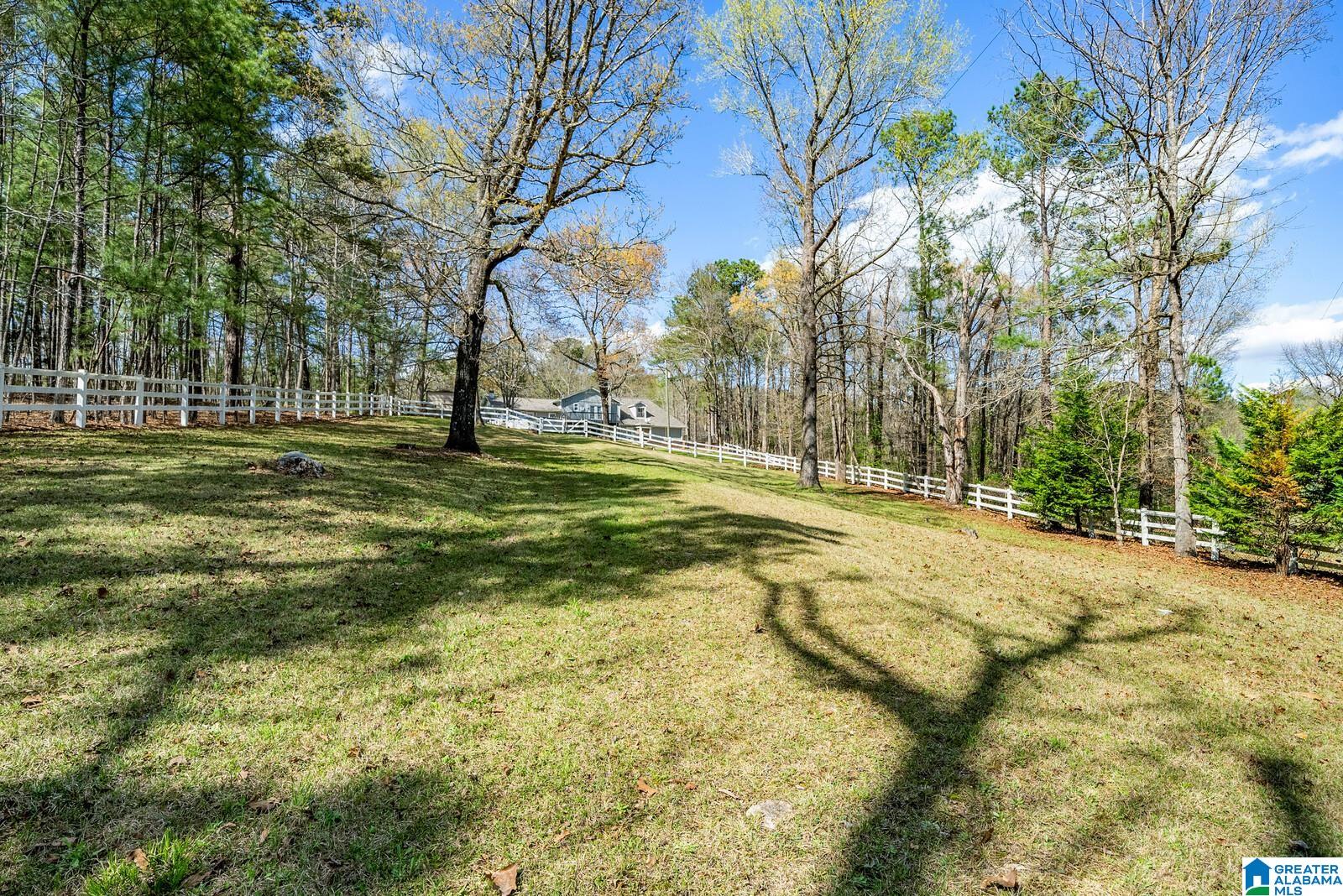3580 Oak Mountain State Park Road Pelham, AL 35124 - Photo 45 of 50