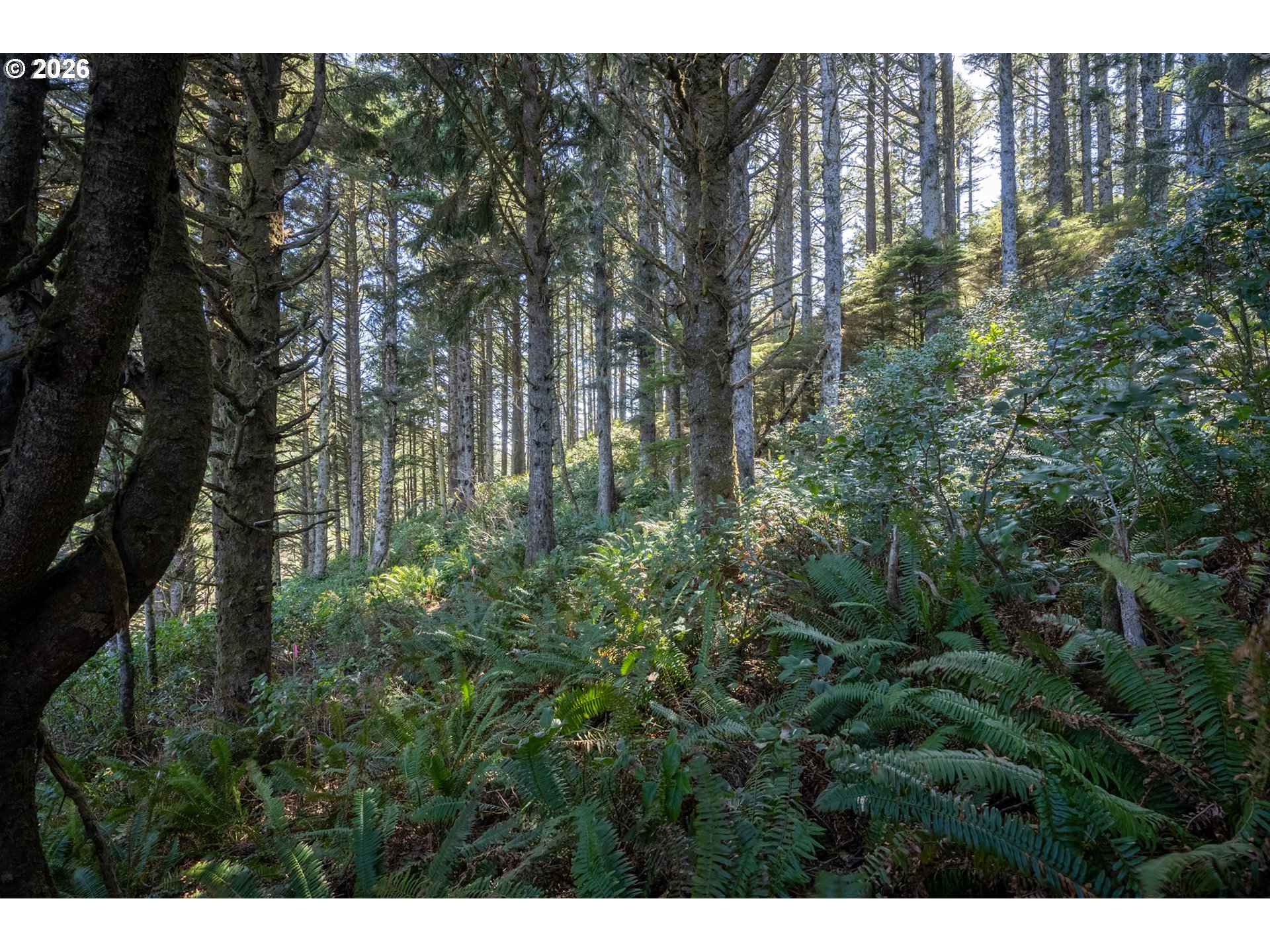 2430 Cape Meares Loop Oceanside, OR 97141 - Photo 38 of 46