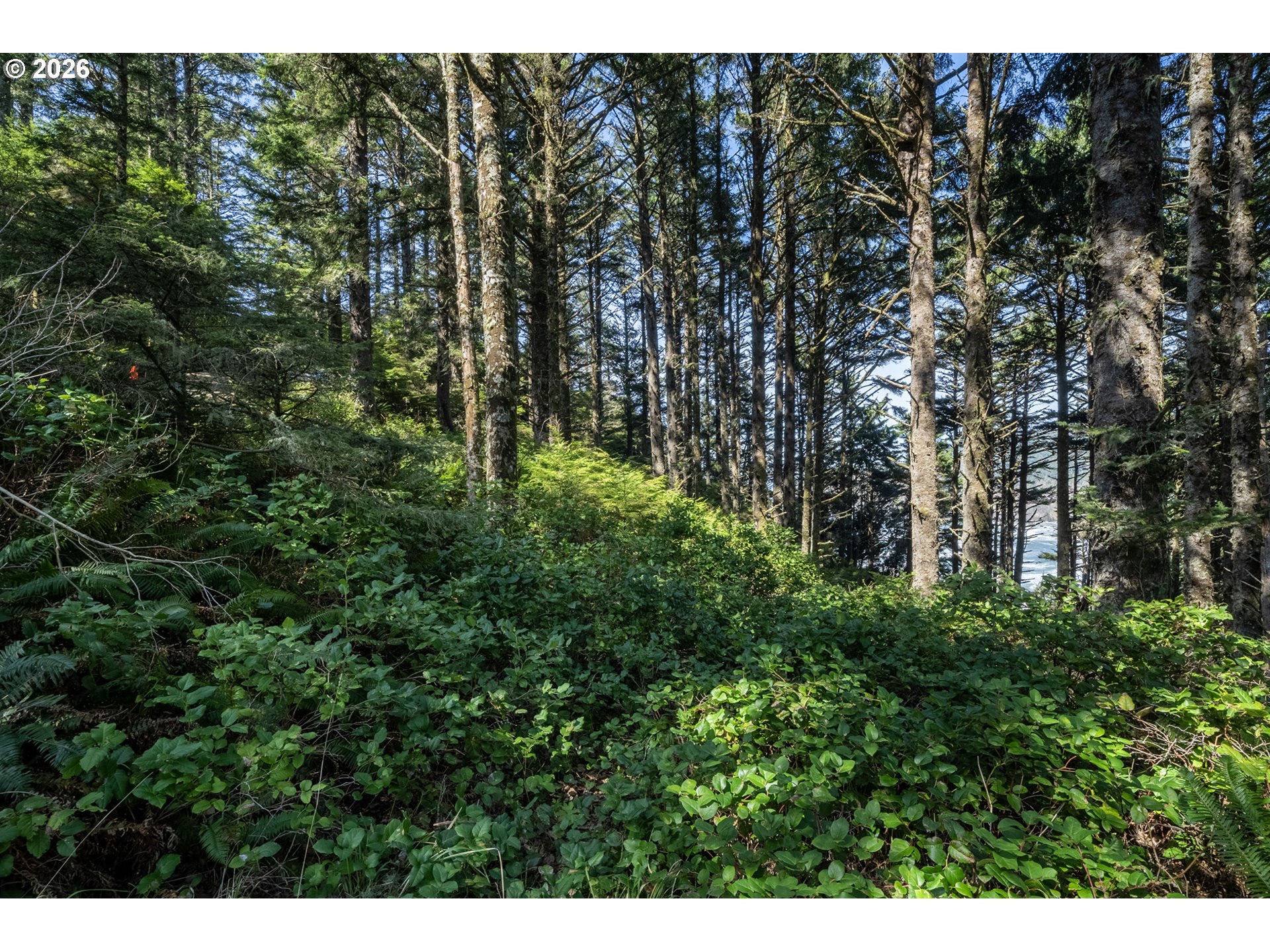 2430 Cape Meares Loop Oceanside, OR 97141 - Photo 39 of 46