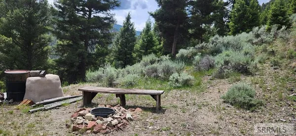 $250,000 | 58 Bighorn Drive, Challis, ID 83226
