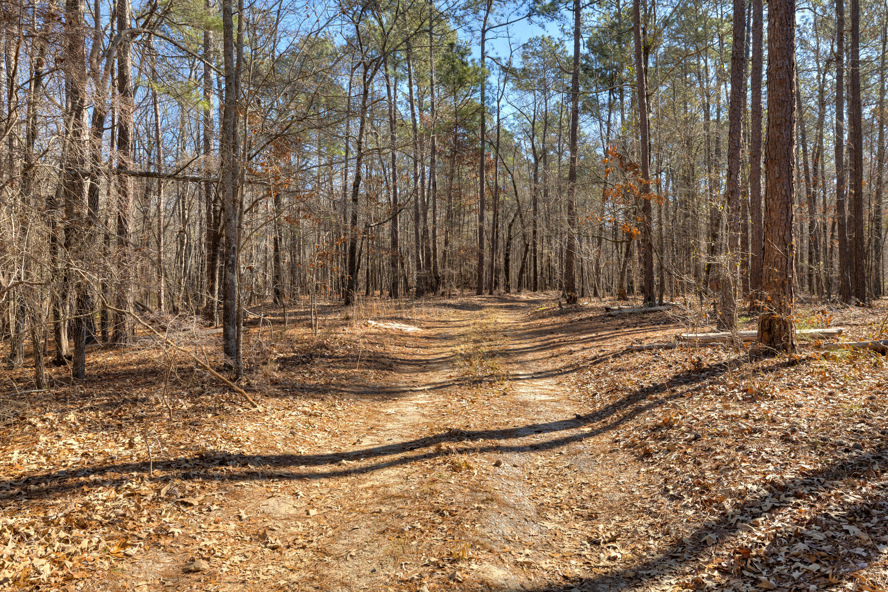 3900 Settlement Road Dalzell, SC 29040 - Photo 47 of 58 Gallery Image 47