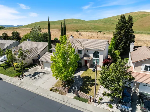 an aerial view of a house with a yard potted plants and large trees