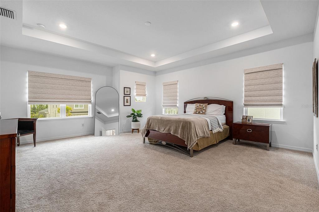 33774 Castaway Loop Wesley Chapel, FL 33543 - Photo 48 of 87